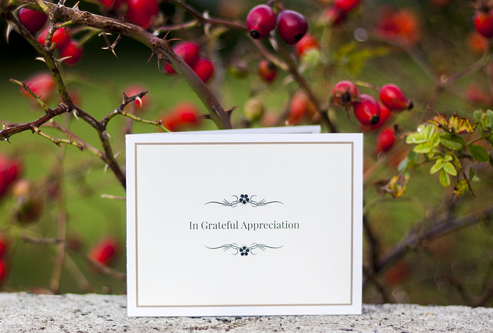 Card with floral motive. Wild rose with fruit in the background.